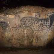 Journées Européennes du Patrimoine: Visite guidée de la grotte ornée du Pech Merle