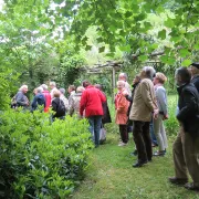 Journées Européennes du Patrimoine : Visites Libres du jardin des Vitailles