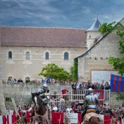 Joutes Equestres du Château Rivau