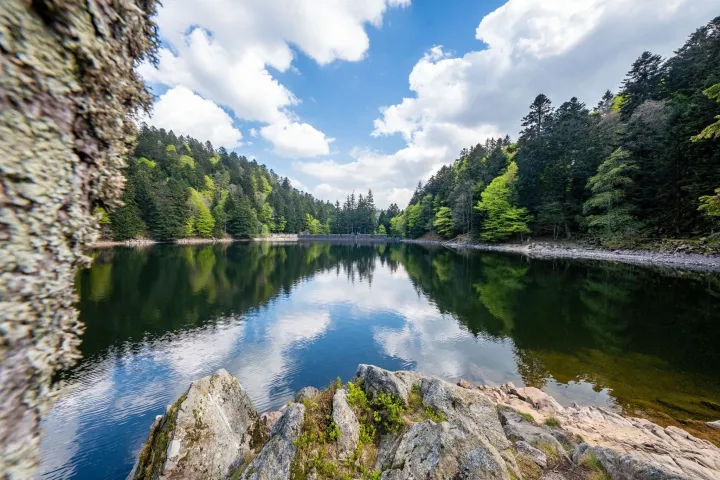 L'Altenweiher