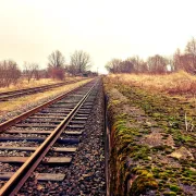 L'arrivée du train sous Napoléon III