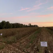 L'automne à la ferme Fruirouge©