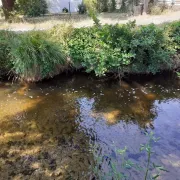 L’eau douce, un bien commun en danger