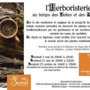 L\'Herboristerie Au Temps Des Celtes Et Des Sorcieres