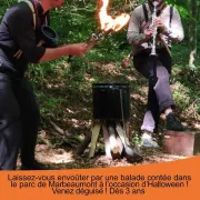 La Balade Des Sous Fifres