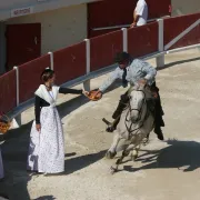 La Camargue aux Arènes