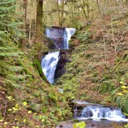 5 cascades à voir dans le massif vosgien