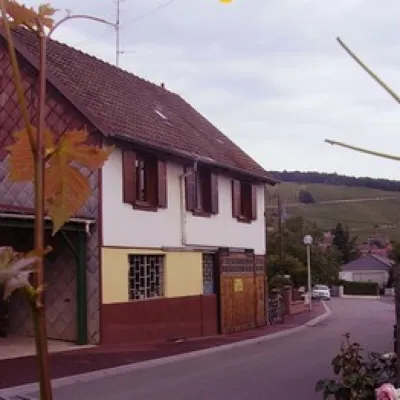 Vins Fred Schoen et Fils