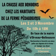 La chasse aux bonbons chez les habitants de la ferme