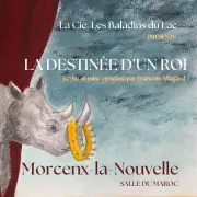 La destinée d\'un roi