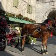 La Féerie de Noël