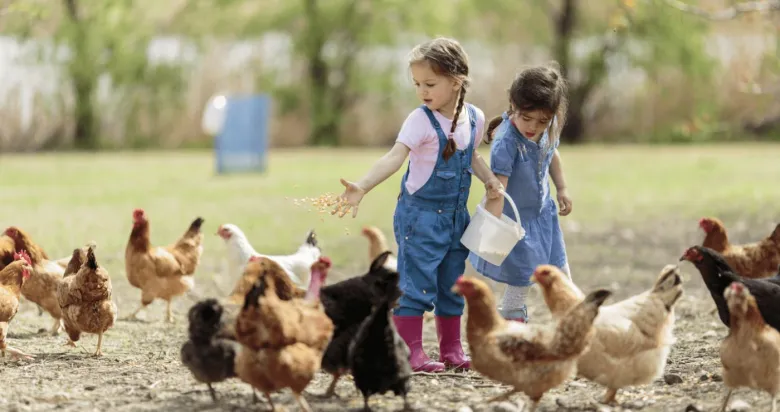 La Ferme d’Argentin