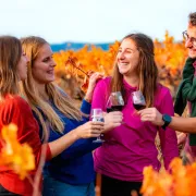 La Fête De L'Automne à Montpeyroux