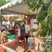 La fête de la Châtaigne à Martigues