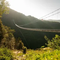 Le Pont suspendu Blackforestline dans les montagnes de Todtnau &copy; Hochschwarzwald Tourismus