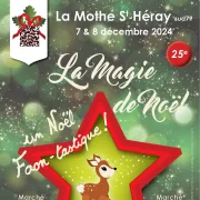 La Magie de Noël