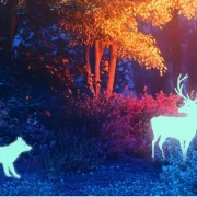 La magie de Noël au Parc animalier de Gramat