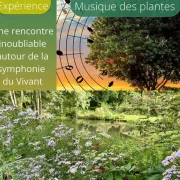 La musique des plantes au coeur de La Vallée de Courtineau