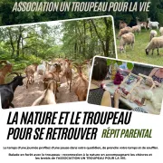 La nature et le troupeau pour se retrouver