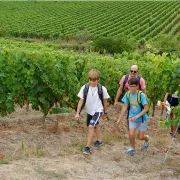 La randonnée des vendanges