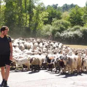 La Route de la Transhumance