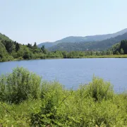 Escapade à Masevaux et dans la vallée de la Doller