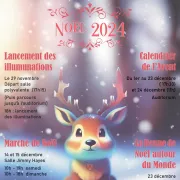 Lancement des illuminations