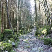 Les lacs de Neuweiher par le chemin de pierres