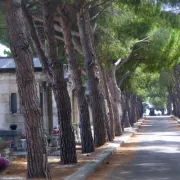 Le Cimetière Saint Pierre