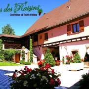 Le Clos des Raisins