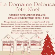 Le Domaine Delonca Fête Noël