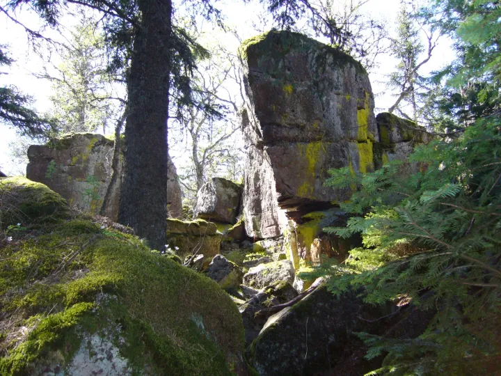 Le féerique Taennchel 