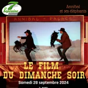 Le Film du Dimanche Soir