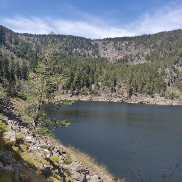 Le lac Noir à Orbey