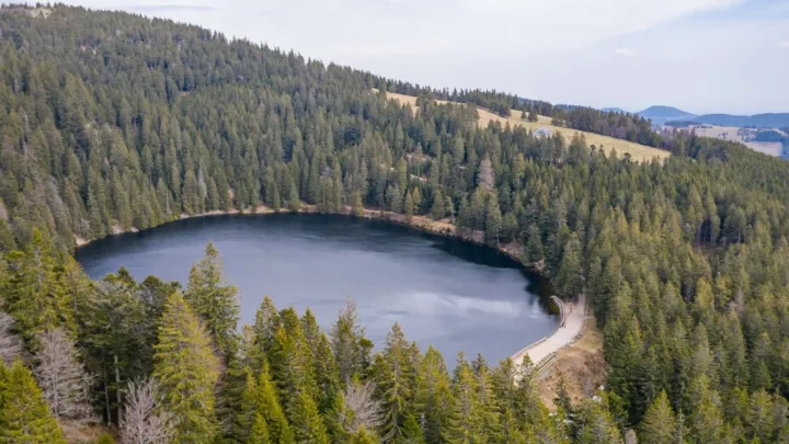 Le lac Vert à Soultzeren 