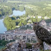 Le Mois Du Doc - Des Cailloux Dans La Chaussure