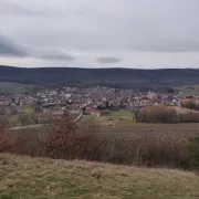 Découverte de la colline du Bollenberg