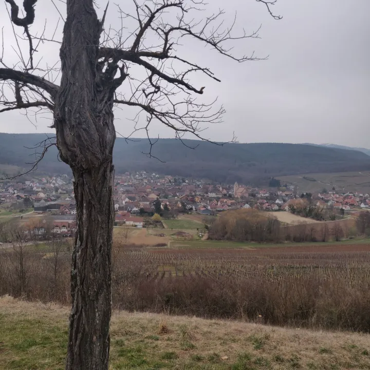 Le paisible village d'Orschwihr vu depuis la chapelle