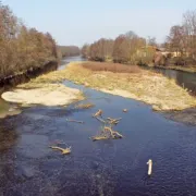 Longer le canal à vélo entre Colmar et Artzenheim