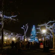 Le sapin féérique : Abracadabouille !