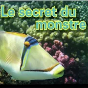 Le secret du monstre