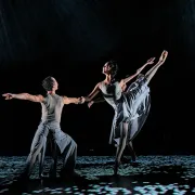 Le Temps d’Aimer la Danse : Ballett X Schwerin (Allemagne) - \