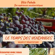 Le Temps Des Vendanges