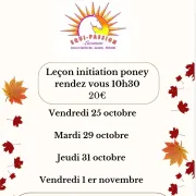 Leçon initiation poney (sur inscription, 20€)