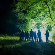 Les ailes de la nuit