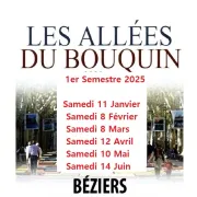 Les Allees Du Bouquin