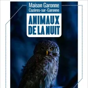 Les Animaux De La Nuit