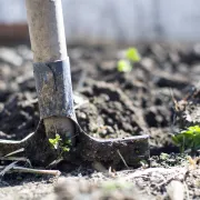 Les Ateliers de la Simplicité : Atelier jardin sol vivant