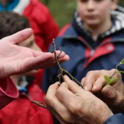 Les balades natures avec Jean, raconteur de pays