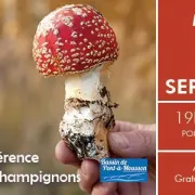 Les Champignons, Une Conférence De Francis Martin